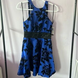 Blue and Black Floral Skater Dress